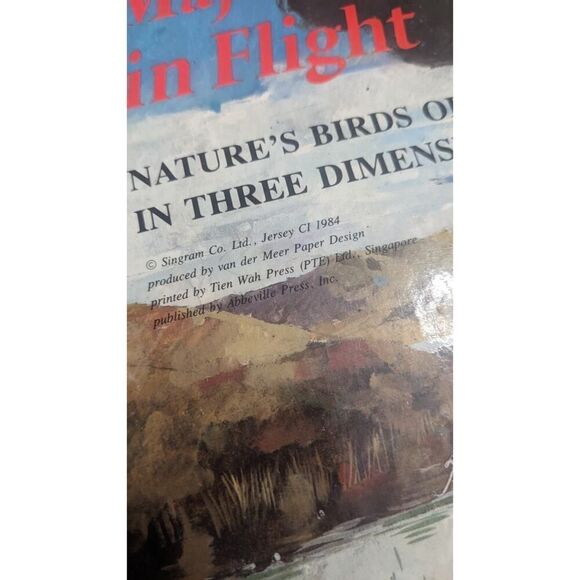 Majesty in Flight Ron Van der Meer Pop Up Book Paper Engineering Birds of Prey - Picture 3 of 5